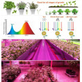 育苗園芸植物の成長のためのLed成長ライト