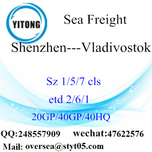 Shenzhen Port Sea Freight Shipping To Vladivostok