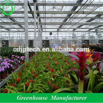 Vegetable Greenhouse for Tomato