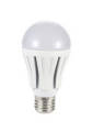 Samsung LED A55 Bulb