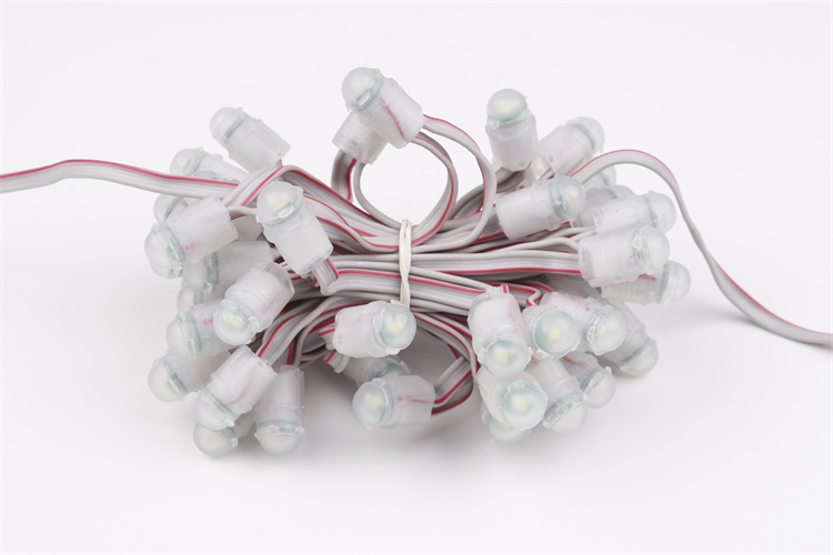 Miracle Bean holiday decoration lights outdoor IP67 12V warm white led pixel smd5050  2P wires led pixel string bulb light