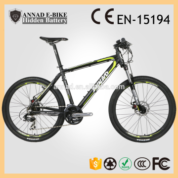 250W electric bicycles