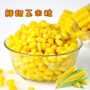 Store IQF Frozen Sweet Corn Kernel