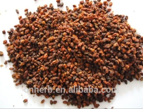 Dried Sea buckthorn,Seabuckthorn,Seabuckhorn,Seaberry,Sceitbezien,Seedorn,Star Bu,Tindve,Grisset,Argasse,Argousier,Dhar Bu,Shaji