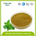 High concentration mint powder contains 20:1 menthol