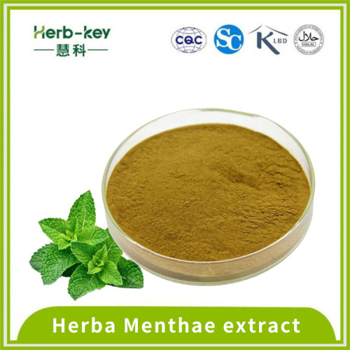 High concentration mint powder contains 20:1 menthol