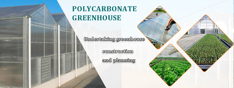 Buy cheap plastic polycarbonate cover material tomato greenhouse agricultural frame