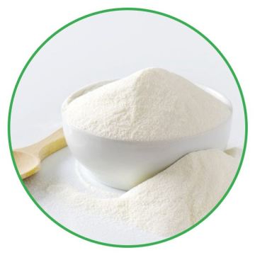 Natural inulin chicory root extract powder high fiber