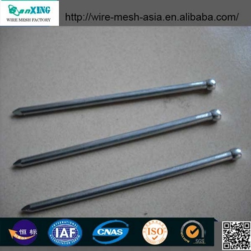 Iron Iron Common Nails Anping Factory Brad Nail