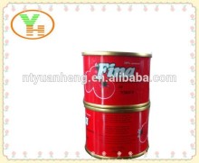 organic tomato paste bulk, organic tomato paste, canned tomato paste, tomato paste factory