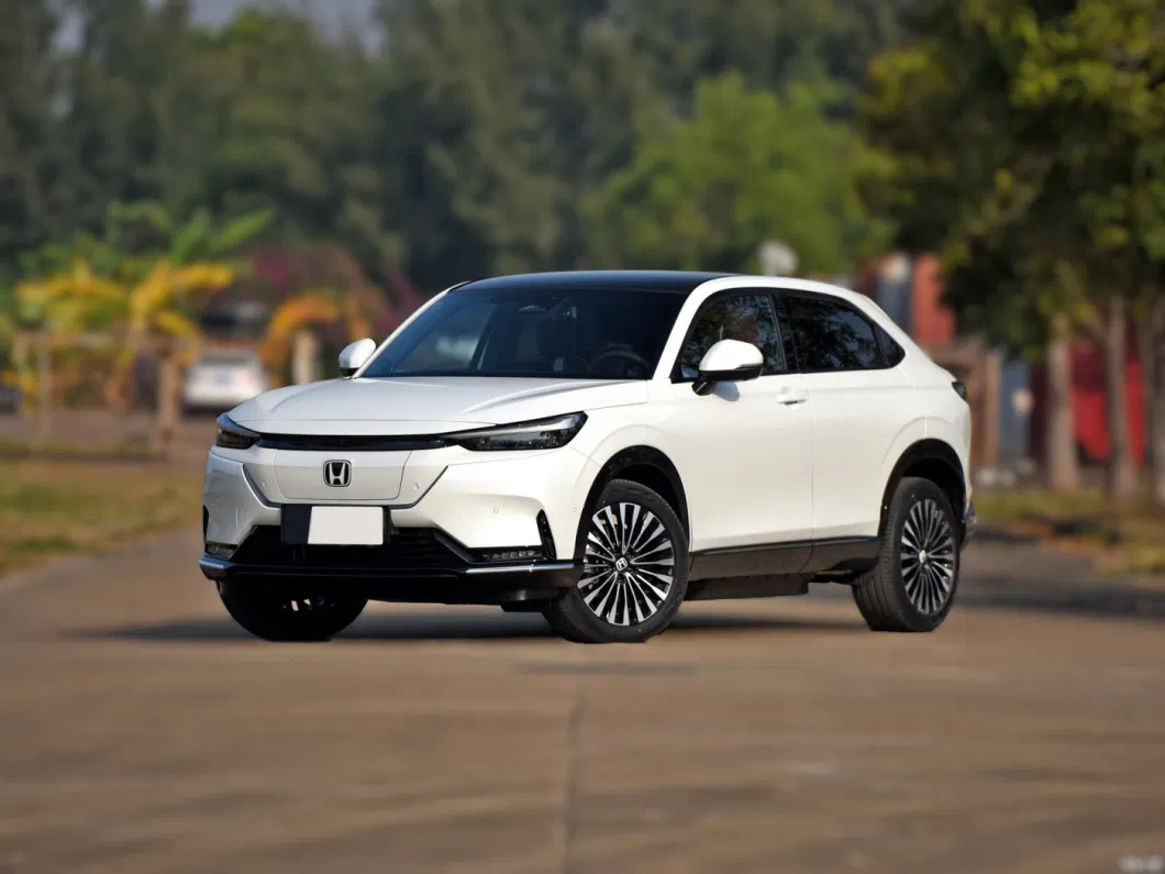 2022 New Energy Vehicles E: Ns1 E-Jing Version5 Doors 5 Seat EV SUV for Sale
