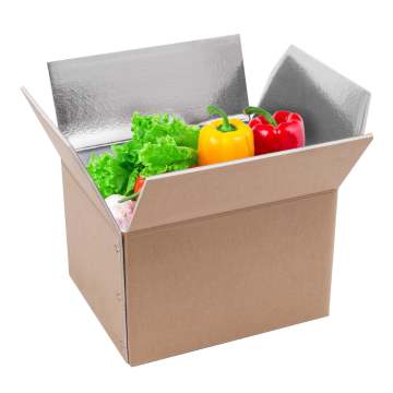 insulated shipping boxes for frozen food