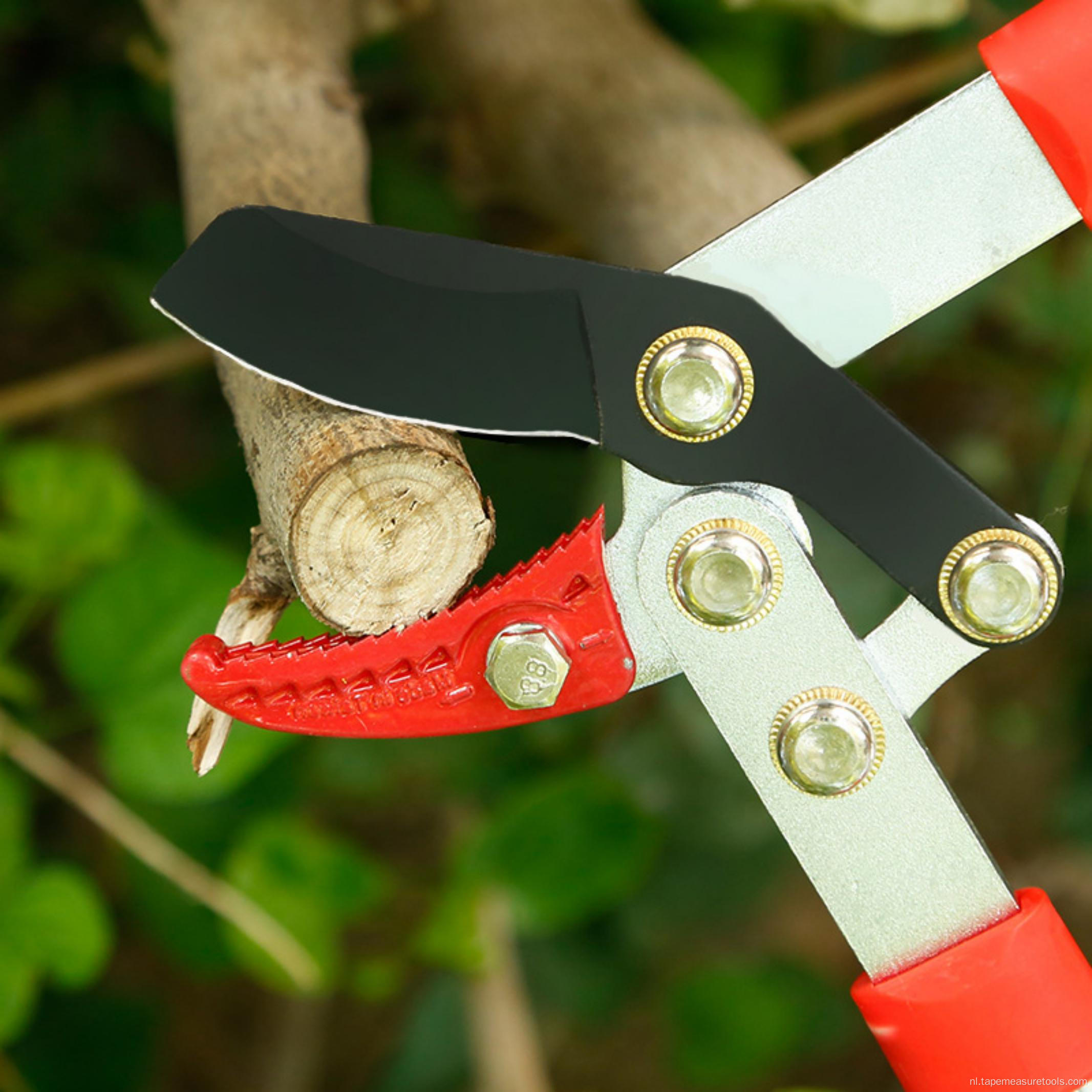 tuinsnoeischaar takkenschaar tuingereedschap arbeidsbesparend