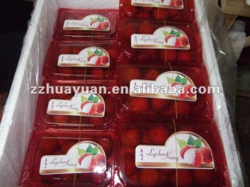 Chinese Fresh Lychee (Litchi)