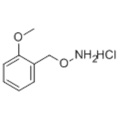 1 - [(AMMONIOOXY) METHYL] -2-METHOXYBENZOLCHLORID CAS 317821-72-0