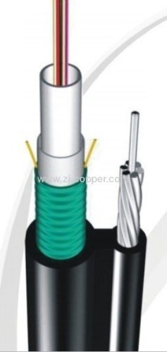 Outdoor Optical Cable Gyxtc8s (figure 8 Cable) 