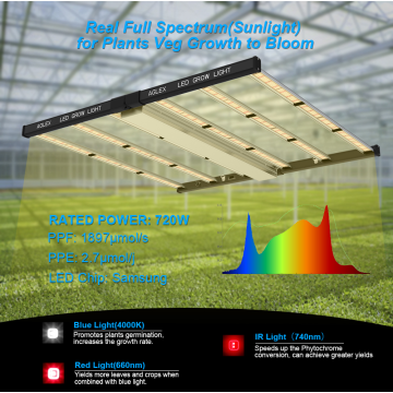 Luces de cultivo de tiras LED impermeables de alta calidad 720W