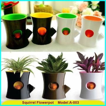 Squirrel Flower pot /Fanncy small decorative flower pots