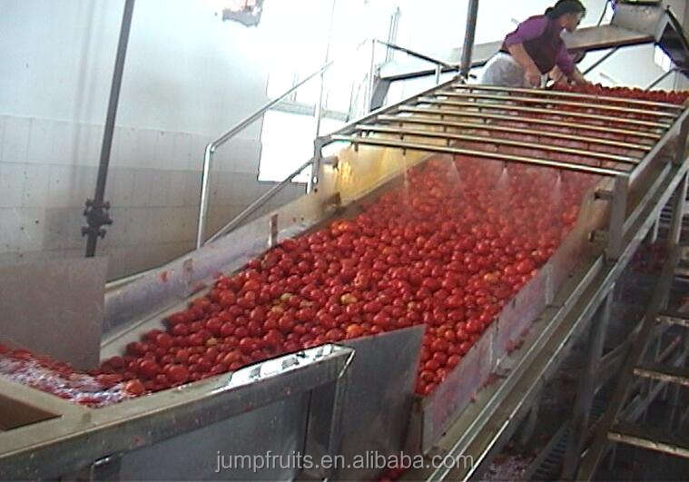 Commercial pepper grinder machine