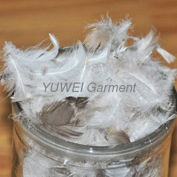 Washed Grey Goose Feather 5% Down