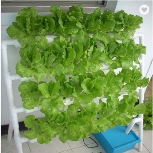 Heißer Verkauf Indoor Small Size Hydroponic System