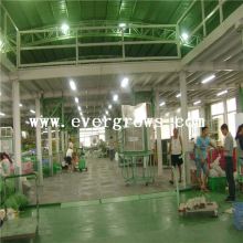 Garment Mezzanine Shelving Support System