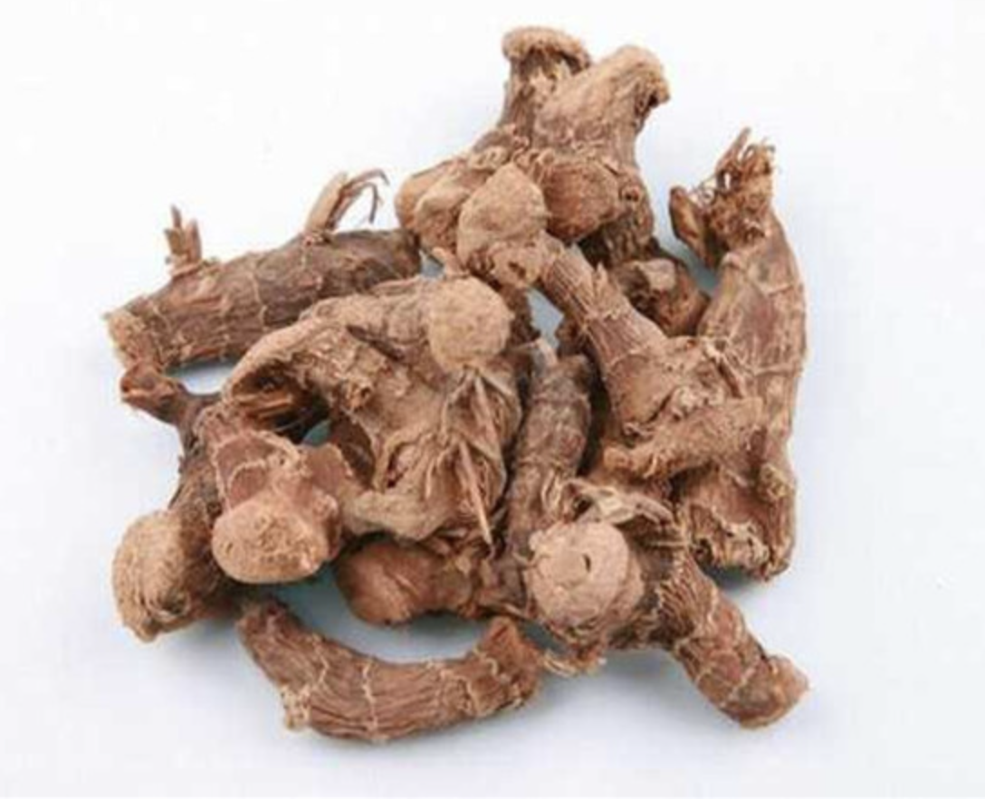 مورد مسحوق استخراج الخولنجان Galangal Extract Powder Supplier