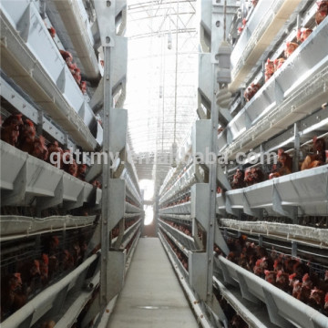 H type galvanized laying hen battery cages for sale