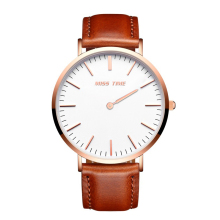 2017 Man 316l Watch Battery