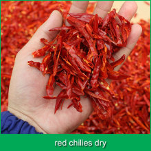 red chilies dry