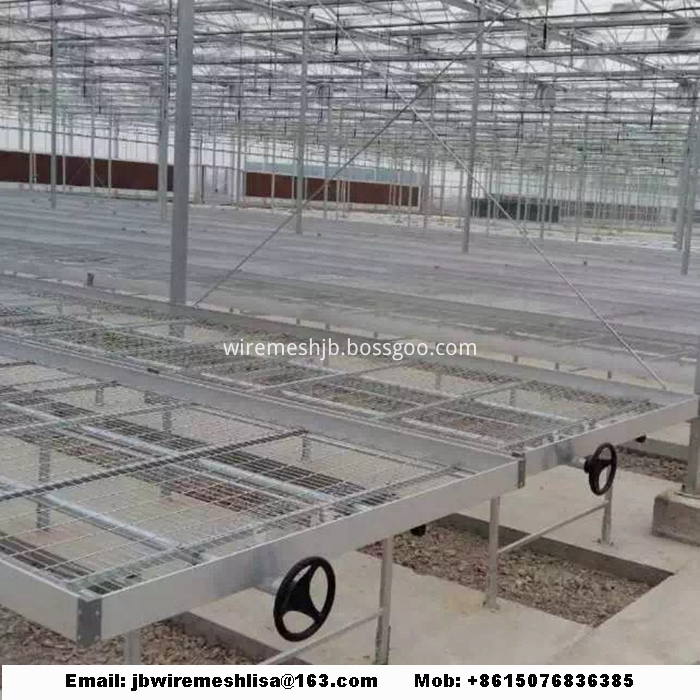 Galvanized Welded Wire Mesh Greenhouse Rolling Benches