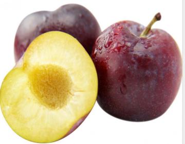 Most delicious fruit punches