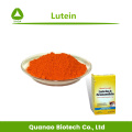 Lutein 80% HPLC Extract Marigold Flower Powder