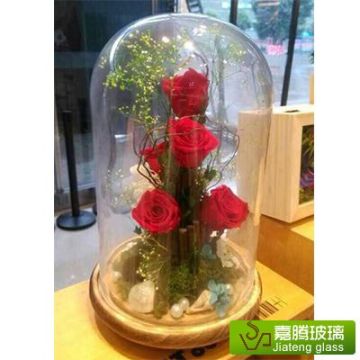 Wholesale Glass Plant Terrarium With wooden base