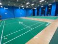 Badminton Court Floor usou recém -chegados ao ar livre
