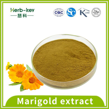10:1 Marigold extract powder contain Lutein