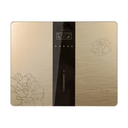 Apple 6th Generation RO Water Dispenser