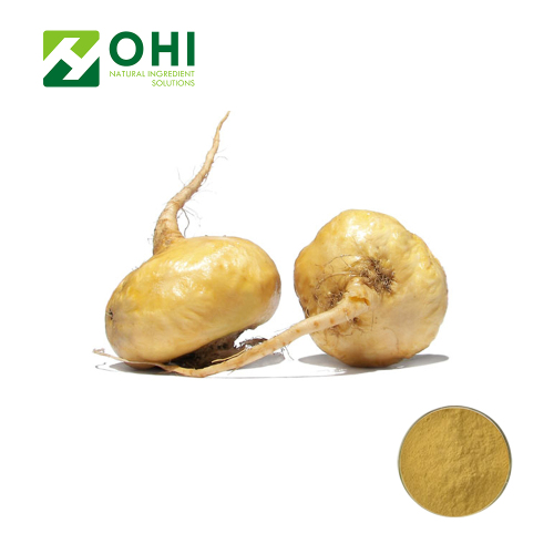 Maca Root Extract Macaenes Powder