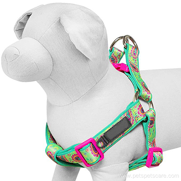 Paisley Flower Green Printing Neoprene Padded Dog Harness