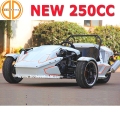 Bode kvalitetssäkrade Trike Ztr Roadster 300cc för försäljning f.Kr.