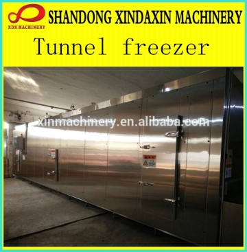 IQF tunnel freezer