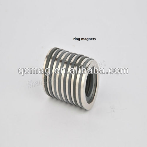 Rare Earth ndfeb ring magnet