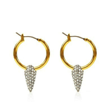 Lovely gold hoop earrings with bright diamond