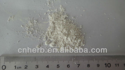 Dried Pearl powder,pearl,Pernulo,Gem,Pearl essence,Margarite,Margaret,Margaritis,Margarita,Madge,Genuine pearl,La perla,Zhen zhu