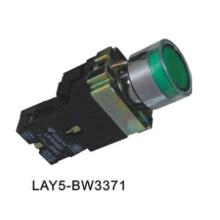 Illuminated Pushbutton