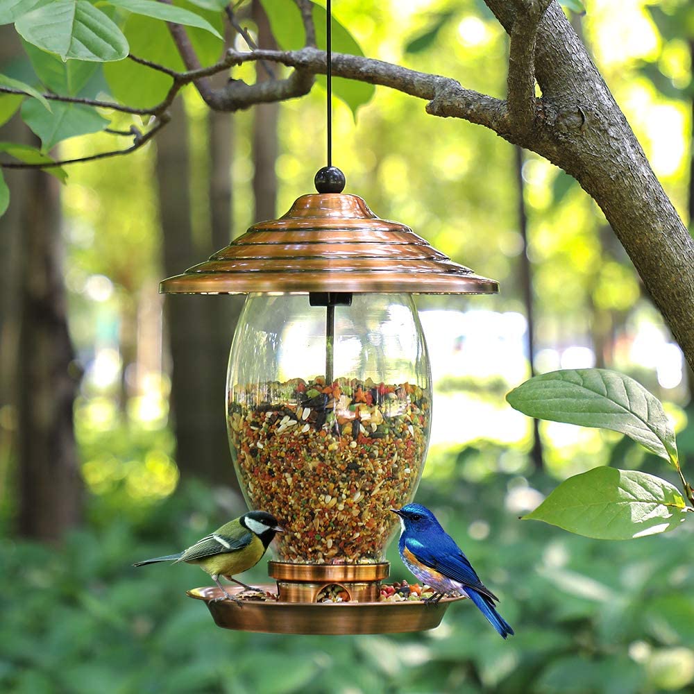 Alimentador de aves con capacidad de semilla de 3 libras