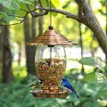 Bird Feeder with 3 lbs Seed Capacity