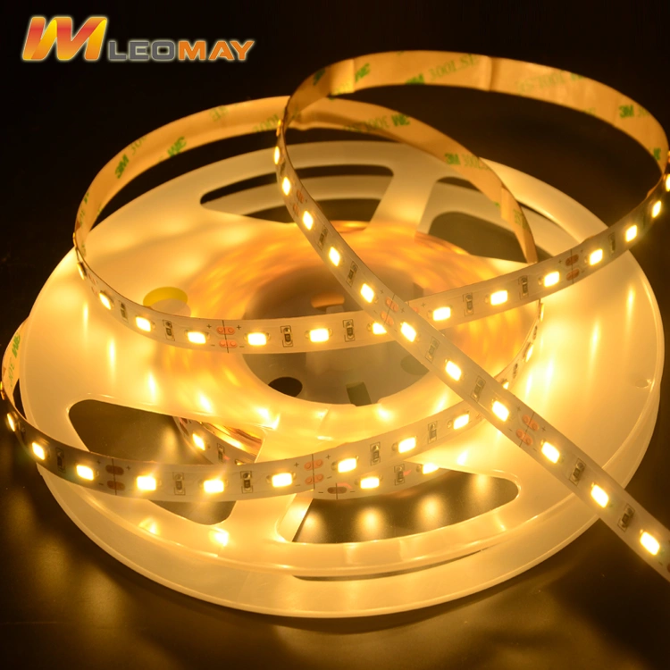 Indoor and Outdoor 0.3W SMD5730 LED Strip with High Quality