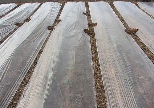 200 Microns Greenhouse Film