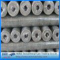 1/2 &quot;Gi Hexgaonal Wire Mesh